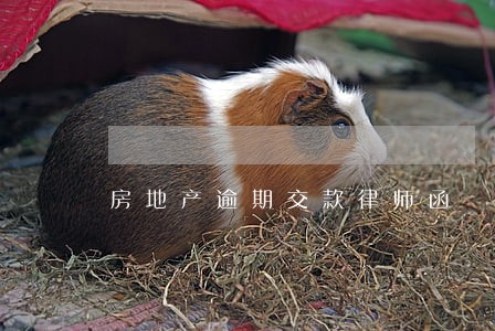房地产逾期交款律师函 房地产逾期交款律师函
