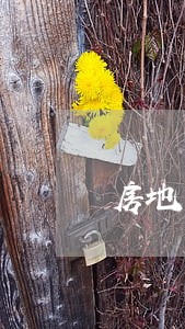 房地产销售怎么找客户电话 房地产销售怎么找客户电话