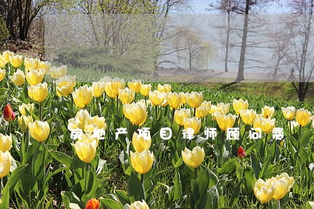 房地产项目律师顾问费 房地产项目律师顾问费