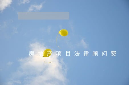 房地产项目法律顾问费 房地产项目法律顾问费