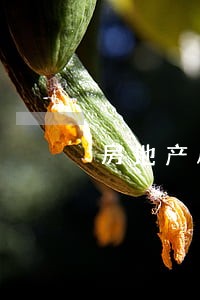 房地产风险代理律师收费 房地产风险代理律师收费