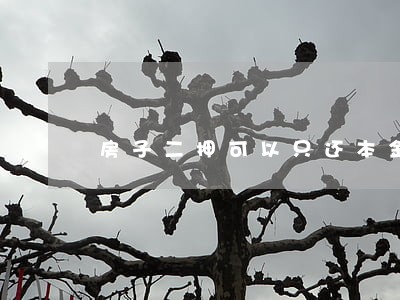 房子二押可以只还本金吗 房子二押可以只还本金吗