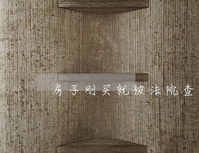 房子刚买就被法院查封了 房子刚买就被法院查封了