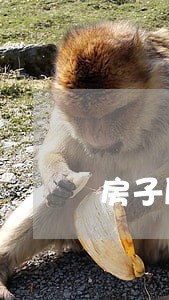 房子厨房燃气改路违法吗 房子厨房燃气改路违法吗