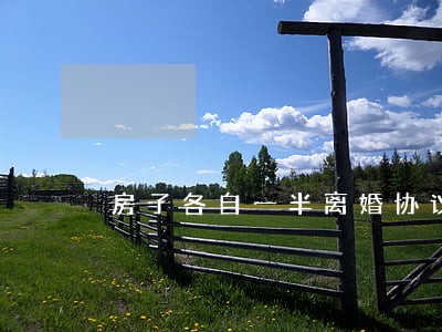 房子各自一半离婚协议书 房子各自一半离婚协议书