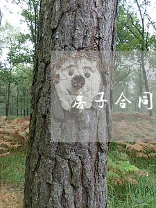 房子合同逾期120天合理吗 房子合同逾期120天合理吗