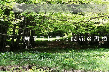房子已拍卖还能诉讼离婚析产吗 房子已拍卖还能诉讼离婚析产吗