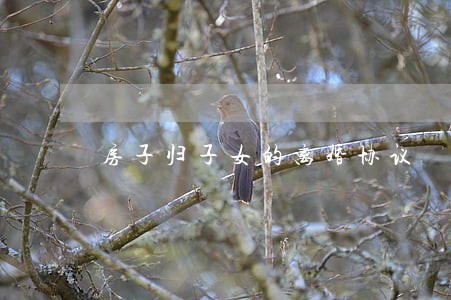 房子归子女的离婚协议 房子归子女的离婚协议