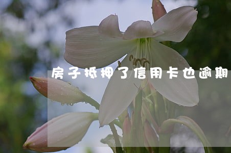 房子抵押了信用卡也逾期