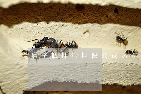 房子抵押给担保公司法院能拍买吗 房子抵押给担保公司法院能拍买吗