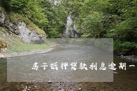 房子抵押贷款利息逾期一次 房子抵押贷款利息逾期一次