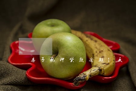 房子抵押贷款逾期1天 房子抵押贷款逾期1天