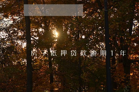 房子抵押贷款逾期1年 房子抵押贷款逾期1年