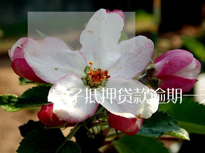 房子抵押贷款逾期一天怎么办 房子抵押贷款逾期一天怎么办