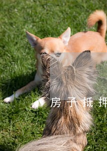 房子抵押贷款逾期五年 房子抵押贷款逾期五年