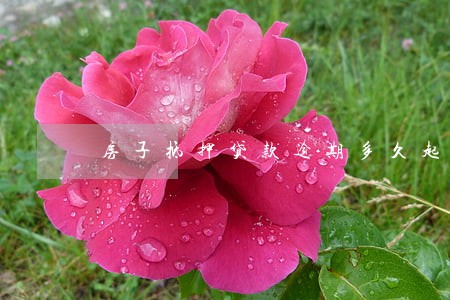 房子抵押贷款逾期多久起诉 房子抵押贷款逾期多久起诉
