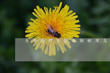 房子抵押贷款逾期被限高了 房子抵押贷款逾期被限高了
