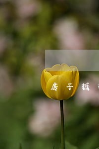 房子抵押贷款逾期银行就去收房吗 房子抵押贷款逾期银行就去收房吗