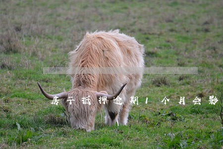 房子抵押逾期1个月会影响征信吗 房子抵押逾期1个月会影响征信吗