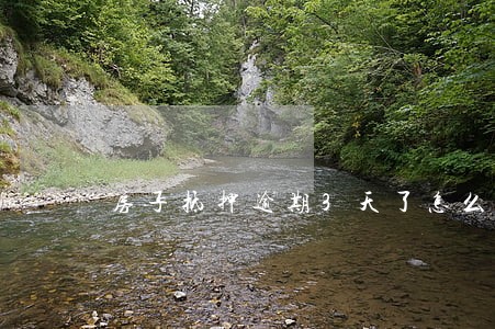 房子抵押逾期3天了怎么办 房子抵押逾期3天了怎么办
