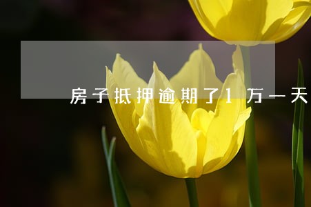 房子抵押逾期了1万一天合理吗 房子抵押逾期了1万一天合理吗