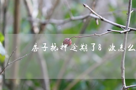 房子抵押逾期了8次怎么办