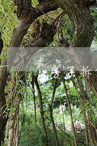 房子拆除后法院查封房产 房子拆除后法院查封房产