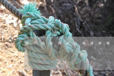房子拍卖向法院申请房租 房子拍卖向法院申请房租