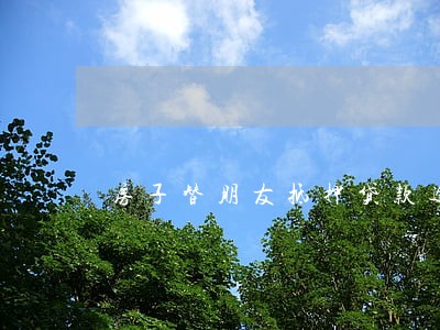 房子替朋友抵押贷款逾期