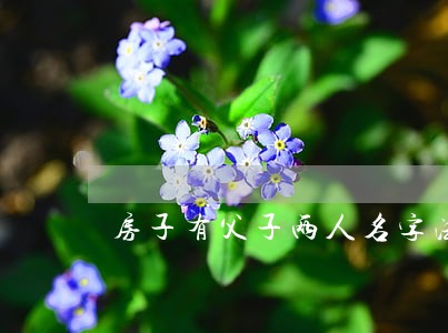 房子有父子两人名字法院能拍卖吗