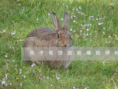 房子有贷款能做抵押吗有逾期 房子有贷款能做抵押吗有逾期