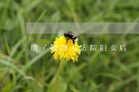 房子被别人法院拍卖后 房子被别人法院拍卖后