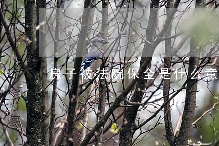 房子被法院保全是什么意思 房子被法院保全是什么意思