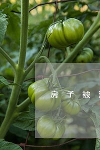 房子被法院冻结怎么查 房子被法院冻结怎么查