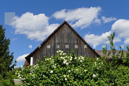 房子被法院拍卖影响征信吗 房子被法院拍卖影响征信吗