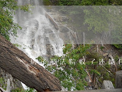 房子被法院收了还能住吗 房子被法院收了还能住吗