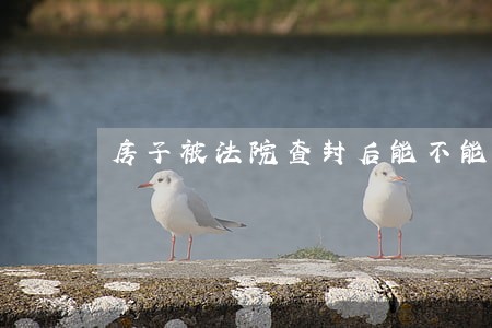 房子被法院查封后能不能出租 房子被法院查封后能不能出租