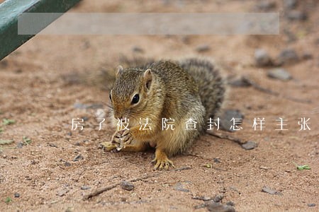 房子被法院查封怎样主张租赁权 房子被法院查封怎样主张租赁权