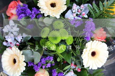 房子被烧找律师要多少钱 房子被烧找律师要多少钱