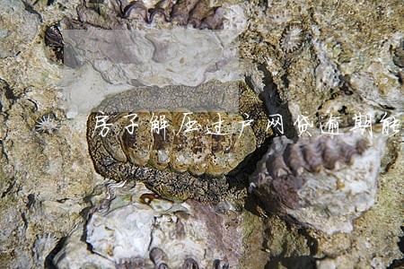 房子解压过户网贷逾期能解压吗 房子解压过户网贷逾期能解压吗