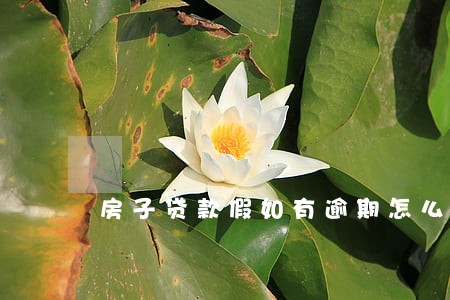 房子贷款假如有逾期怎么办