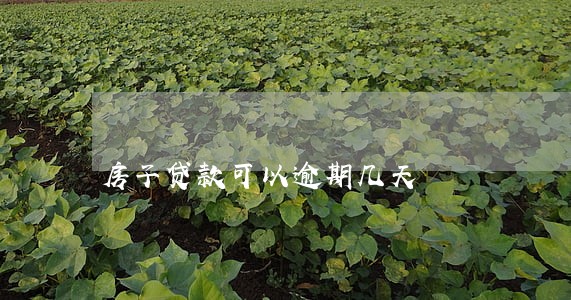 房子贷款可以逾期几天 房子贷款可以逾期几天