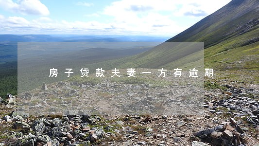 房子贷款夫妻一方有逾期 房子贷款夫妻一方有逾期