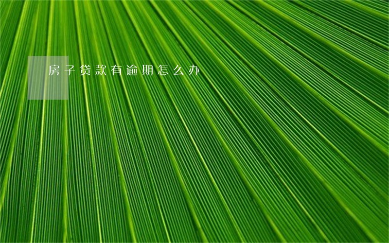 房子贷款有逾期怎么办