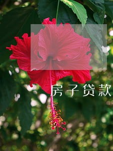 房子贷款有逾期能卖吗