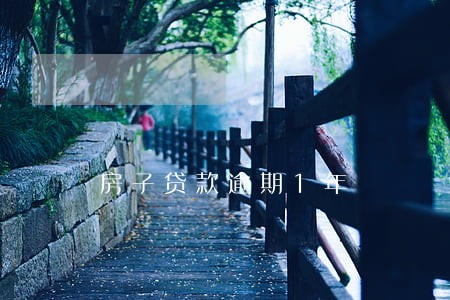 房子贷款逾期1年 房子贷款逾期1年