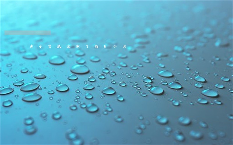 房子贷款逾期了前5个月 房子贷款逾期了前5个月