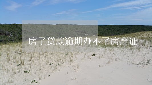 房子贷款逾期办不了房产证 房子贷款逾期办不了房产证