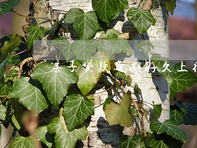 房子贷款逾期好久上征信 房子贷款逾期好久上征信