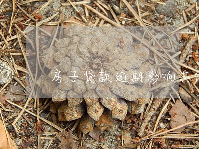 房子贷款逾期影响其他房产吗 房子贷款逾期影响其他房产吗